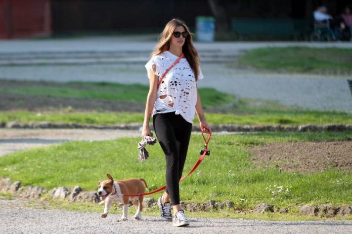 Finalmente le giornate si allungano e torna il bel tempo, le condizioni ideali per portare a spasso il nostro cane. Dedicare quotidianamente una parte del nostro tempo al gioco e alle passeggiate è l’emento sul quale si basa il buon rapporto con l’amico pet di casa. Facciamolo correre e facciamogli così scaricare le energie ma proviamo anche a fargli fare qualche piccolo esercizio (seduto, resta, terra, zampa…), questo consentirà non solo di cementare il proprio legame con il fedele amico, ma anche di stimolare e fare lavorare la sua testa passando insieme tempo piacevole e divertente. Ricordiamoci che la noia è una delle principali cause di comportamenti indesiderati, come i danni domestici e i prolungati latrati. Per richiamarlo e gratificarlo negli esercizi occorre premiarlo con le ricompense specifiche. Usare snack (o 'premietti') per educare i cuccioli, ma anche i cani adulti, li aiuta a collaborare e li motiva ad impegnarsi. Gli snack per cani sono prodotti completi dal punto di vista alimentare e sono già proporzionati. E' bene comunque non abusarne onde evitare un aumento del peso del caro amico a quattro zampe. Spesso infatti viene consigliata la somministrazione degli snack più volte al giorno, sottraendo però la quantità corrispondente dalla quantità di cibo totale prevista dalla razione giornaliera. Inoltre molti snack garantiscono anche una perfetta igiene orale, scongiurando placca e disturbi dentali. La loro consistenza li rende un giocoso beneficio anche per le gengive. Infine nelle passeggiate occorre prediligere l’uso della pettorina rispetto al collare: questo strumento è infatti meno stressante per il cane e aiuta a gestirlo meglio. Esistono vari tipi di pettorali, diversi materiali e modelli, ma al momento della scelta ricordarsi sempre di verificare che non stringa troppo il collo e che lasci libere le articolazioni delle zampe. Se in passeggiata il caro amico peloso si dimostra un po’ indisciplinato, se tira a destra e a manca, rendendo difficile il controllo, si può in primo luogo ricorrere a pettorali specifici per l’educazione (metodo gentile o gentle leader) che dissuadono il cane dallo strattonare e tirare al guinzaglio. Amici a due e quattro zampe… Buona passeggiata!