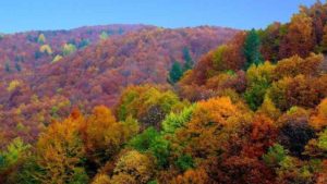 colline umbre in autunno