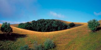 Percorso sul Monte Subasio