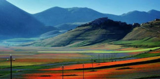 Turismo Umbria Fioritura di Castelluccio