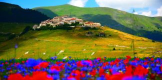 fioritura di Castelluccio di Norcia