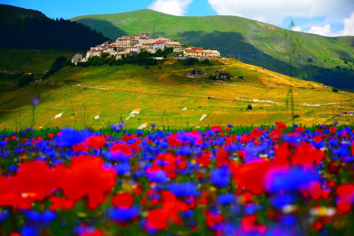 fioritura di Castelluccio di Norcia