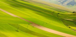 Castelluccio di Norcia