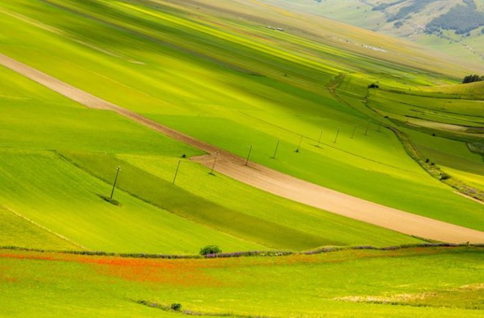 Castelluccio di Norcia