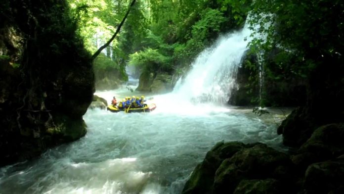 [VIDEO] SALVATAGGIO DI UN CAPRIOLO NEL FIUME NERA