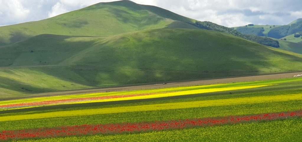 Castelluccio 3