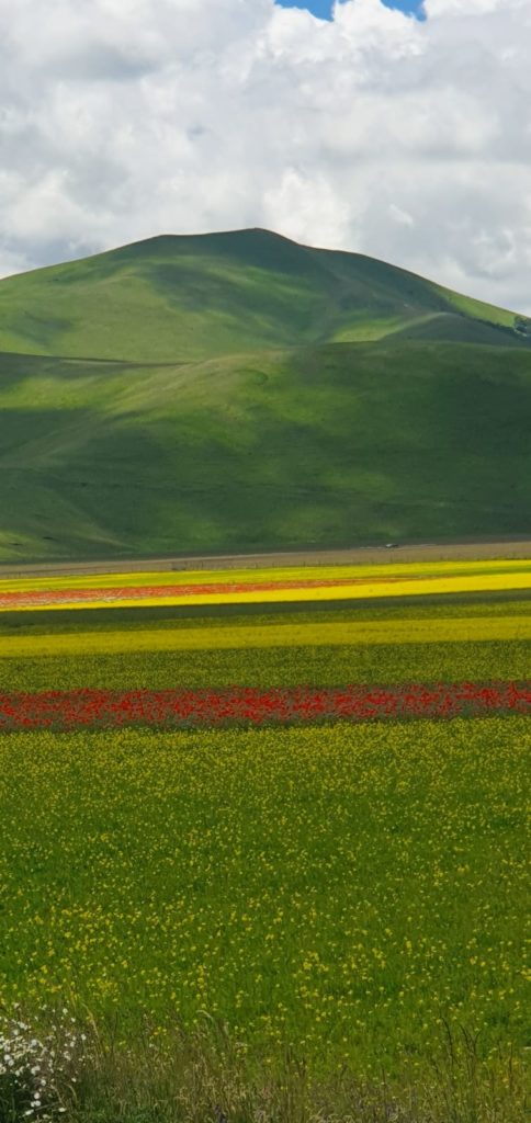 Castelluccio 4