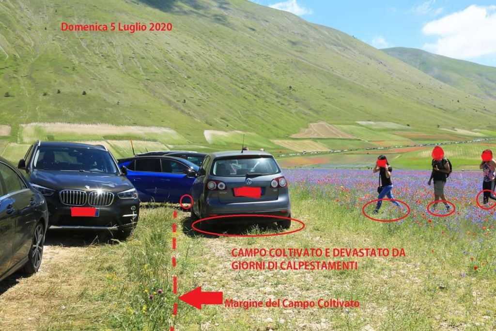 I vandali di Castelluccio