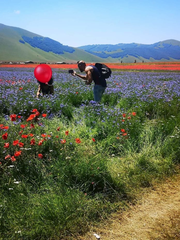 I vandali di Castelluccio